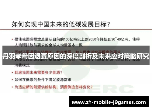 丹羽孝希因退赛原因的深度剖析及未来应对策略研究