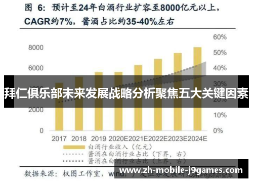 拜仁俱乐部未来发展战略分析聚焦五大关键因素