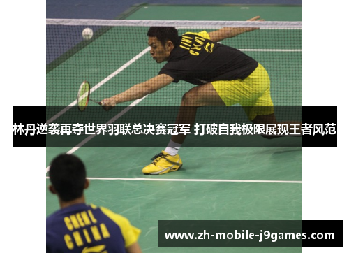 林丹逆袭再夺世界羽联总决赛冠军 打破自我极限展现王者风范 林丹逆袭再夺世界羽联总决赛冠军 打破自我极限展现王者风范