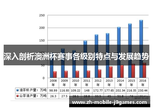 深入剖析澳洲杯赛事各级别特点与发展趋势 深入剖析澳洲杯赛事各级别特点与发展趋势