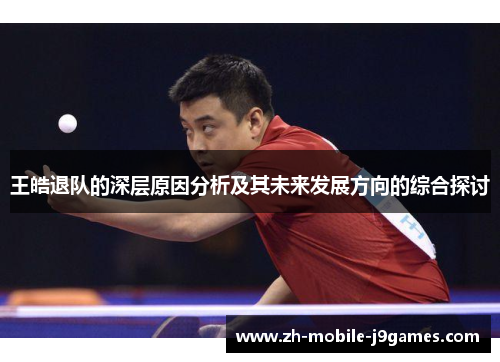 王皓退队的深层原因分析及其未来发展方向的综合探讨 王皓退队的深层原因分析及其未来发展方向的综合探讨